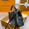 LV Capucines Handbag