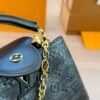 LV Capucines Handbag