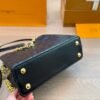 LV Capucines Handbag