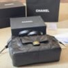 Chanel 25c Early Spring Shopping Bag