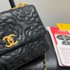 CHANEL Coco handle Salzburg series bag