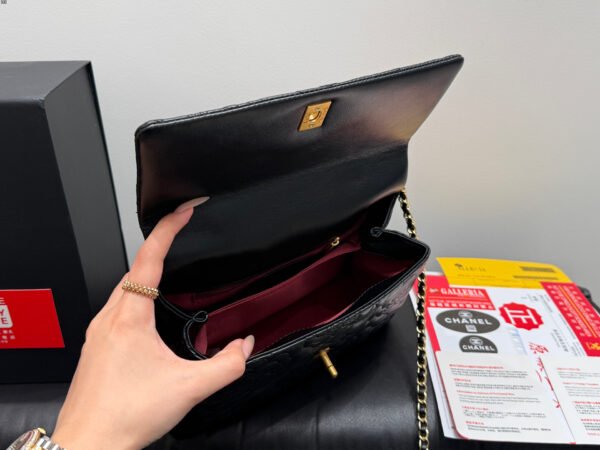 CHANEL Coco handle Salzburg series bag
