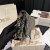 Dior WOC single-shoulder chain bag