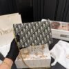 Dior WOC single-shoulder chain bag