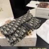 Dior WOC single-shoulder chain bag