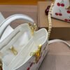 LV Capucines Hand bag